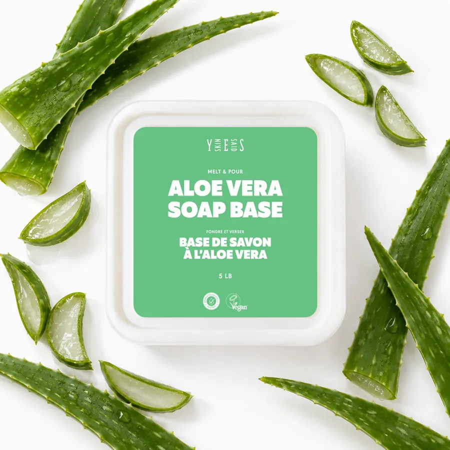 Aloe vera soap base tub from above, with aloe leaves and slices